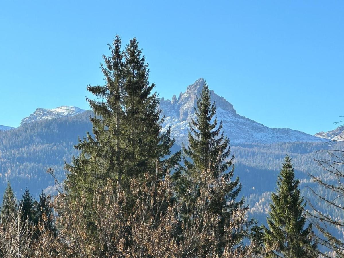 Hotel Serena Cortina Cortina dʼAmpezzo Dış mekan fotoğraf